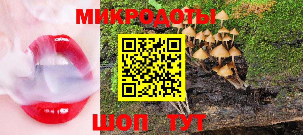 МЕФ Дивногорск